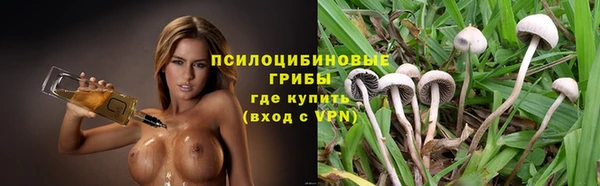 mdpv Заволжье