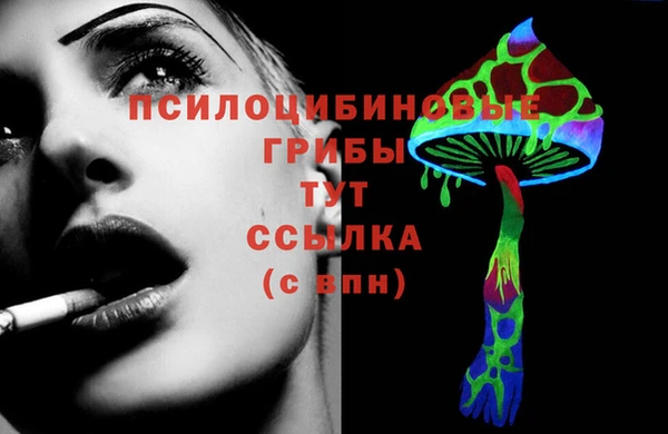 mdpv Заволжье