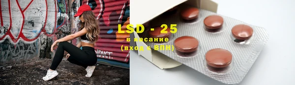 крисы Заводоуковск