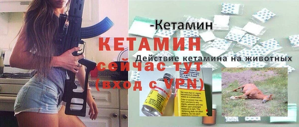 крисы Заводоуковск