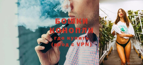 крисы Заводоуковск