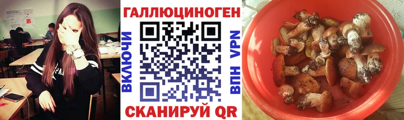 KRAKEN ONION Зубцов Псилоцибиновые грибы прущие грибы